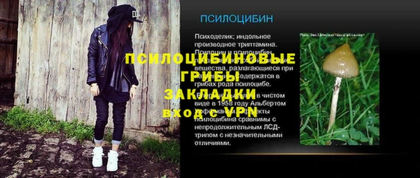Альфа ПВП Арсеньев