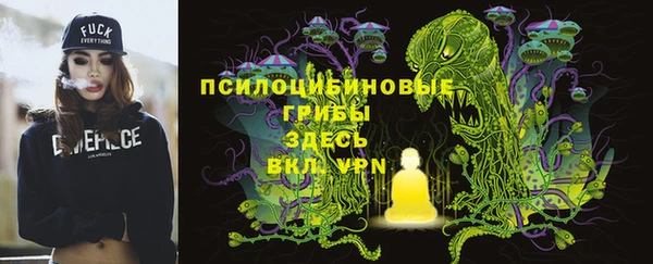 Альфа ПВП Арсеньев
