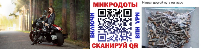 Галлюциногенные грибы мицелий  закладка  Лянтор 