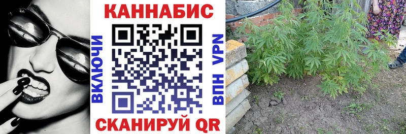 Марихуана OG Kush  Лянтор 